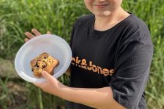 Galeria.Kolonie.Obozy.Dla.Dzieci.Młodzieży_503
