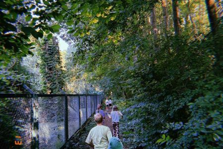 galeria-zdjec-zacisze-2026-15.07.2026-5