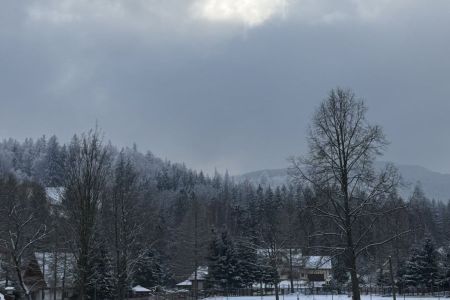 zimowiska-dla-dzieci-galeria-markus-gory_37