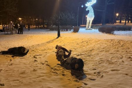 galeria.zdjec_.zimowiska.dla_.dzieci.w.gorach.2026nefryt