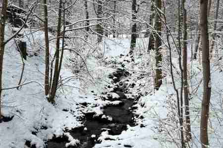 galeria.zdjec_.zimowiska.dla_.dzieci.w.gorach.nefryt.2026_32