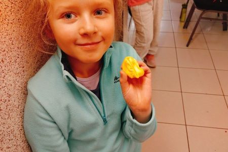 galeria.zdjec_.zimowiska.dla_.dzieci.w.gorach.2026_27