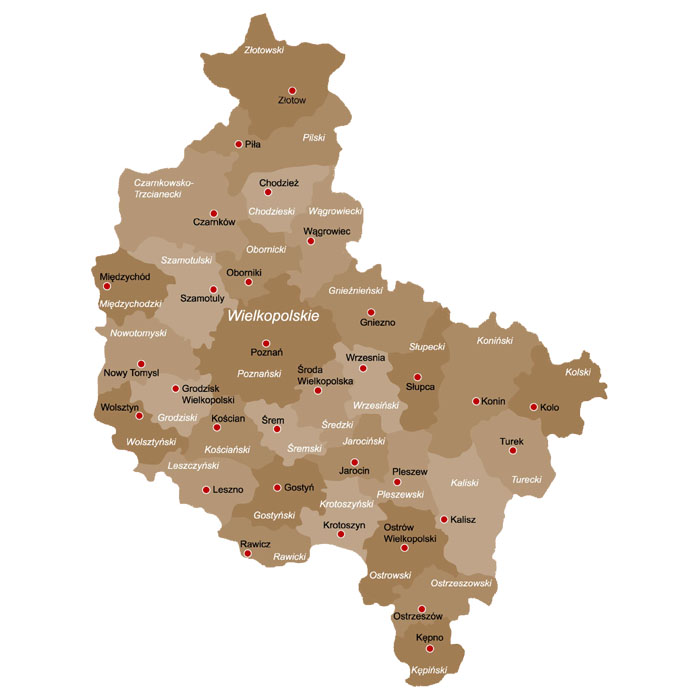 Mapa powiatów Wielkopolska