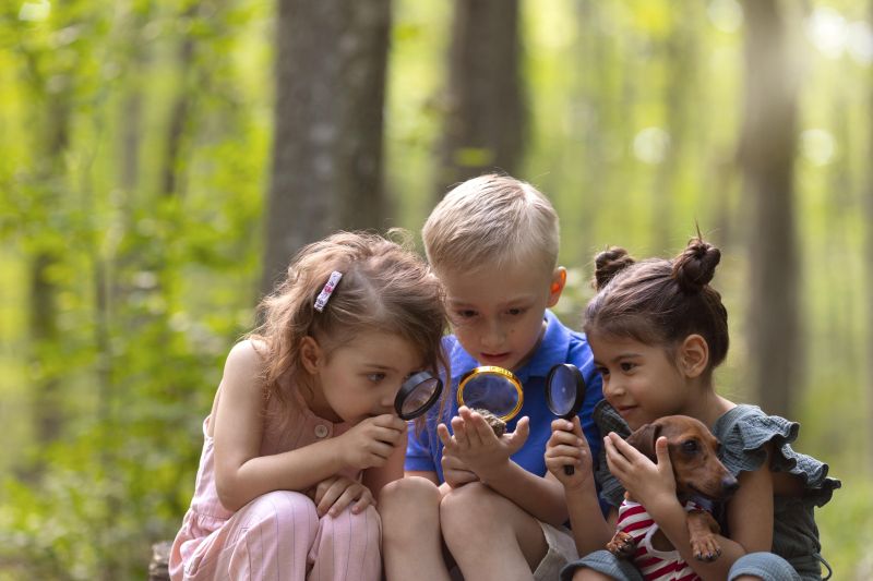 Miłośnicy Planety - kreatywny obóz sportowo - edukacyjny