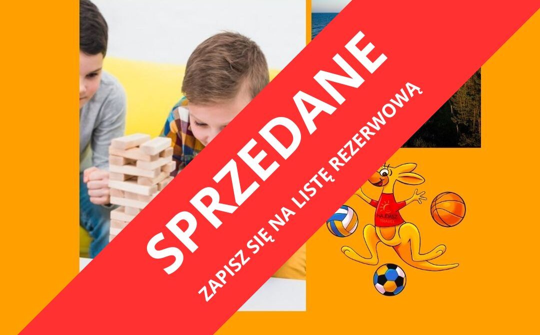 Planszówki, gry strategiczne i gry ruchowe