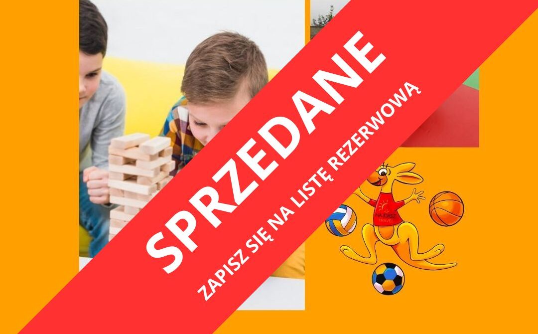 Planszówki, gry strategiczne i gry ruchowe